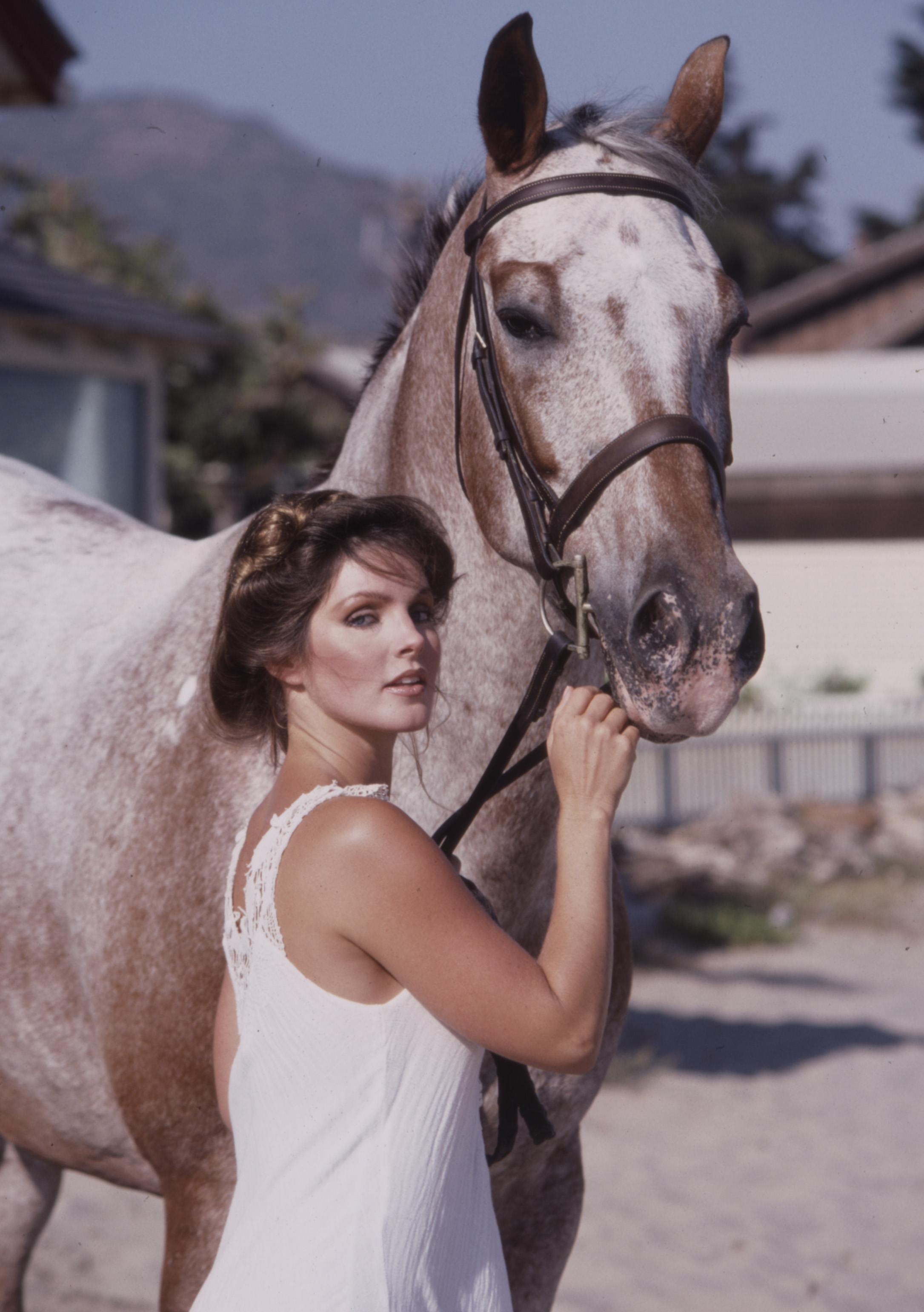 Priscilla Presley's promotional photo for "Those Amazing Animals" in Los Angeles, California, circa 1980. | Source: Getty Images