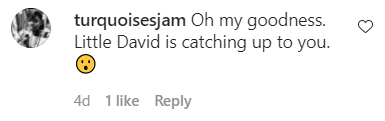 A fan's comment on David Otunga Snr's post | Photo: Instagram/davidotunga
