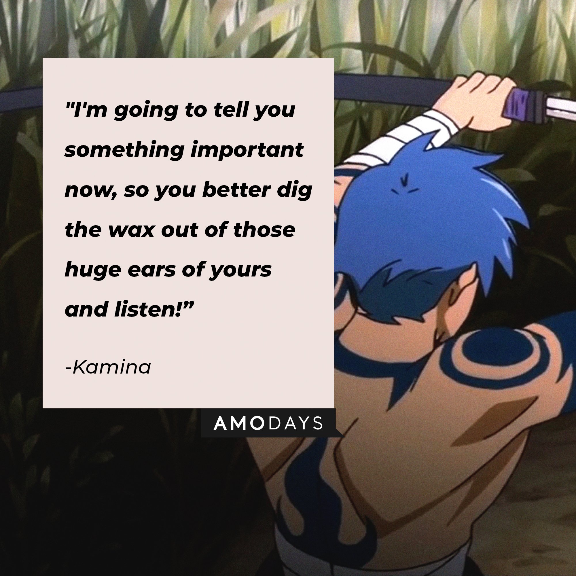 Kamina's quote: "I'm going to tell you something important now, so you better dig the wax out of those huge ears of yours and listen!" | Image: AmoDays  