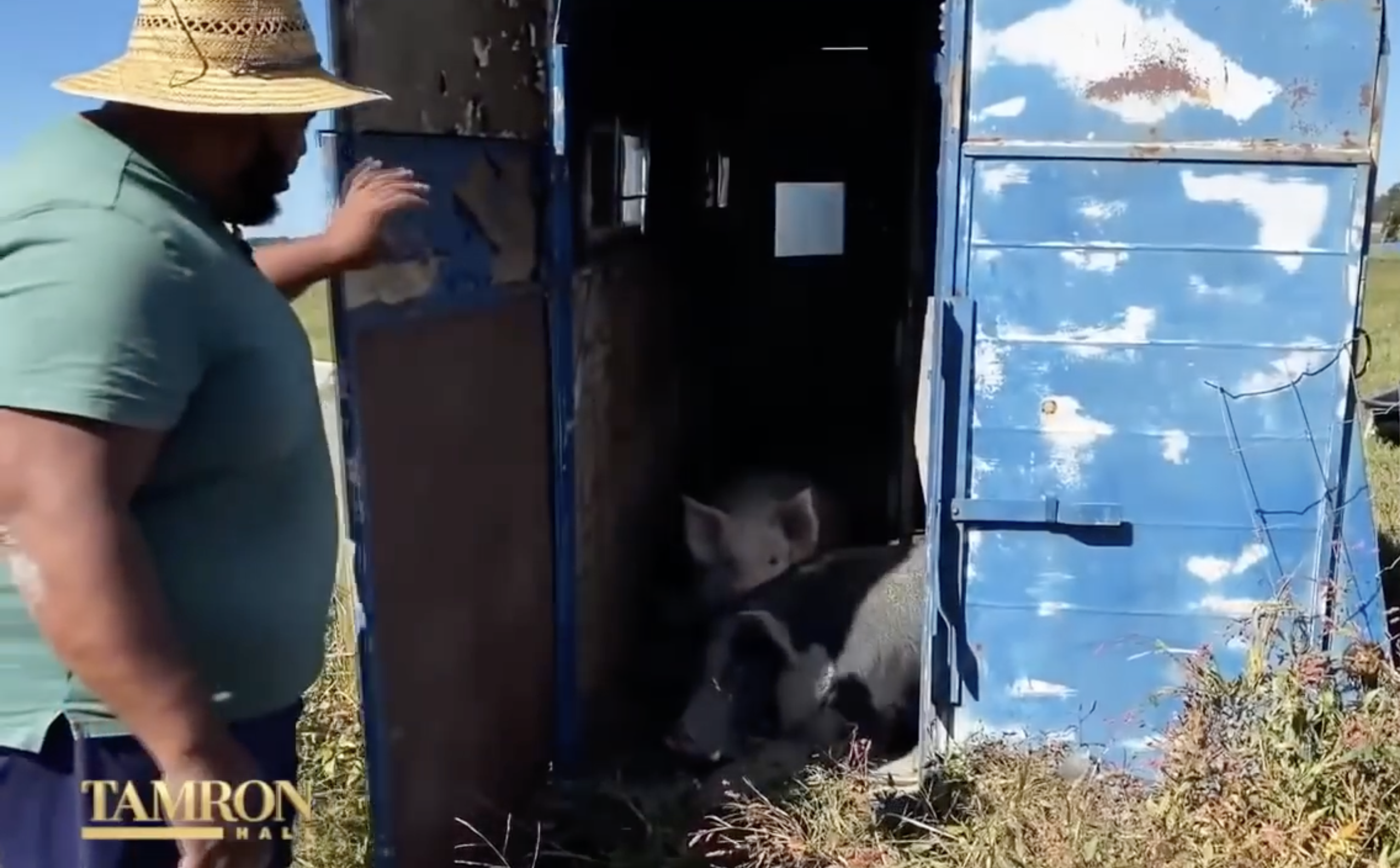 The star with livestock on his farm | Source: YouTube/TamronHallShow