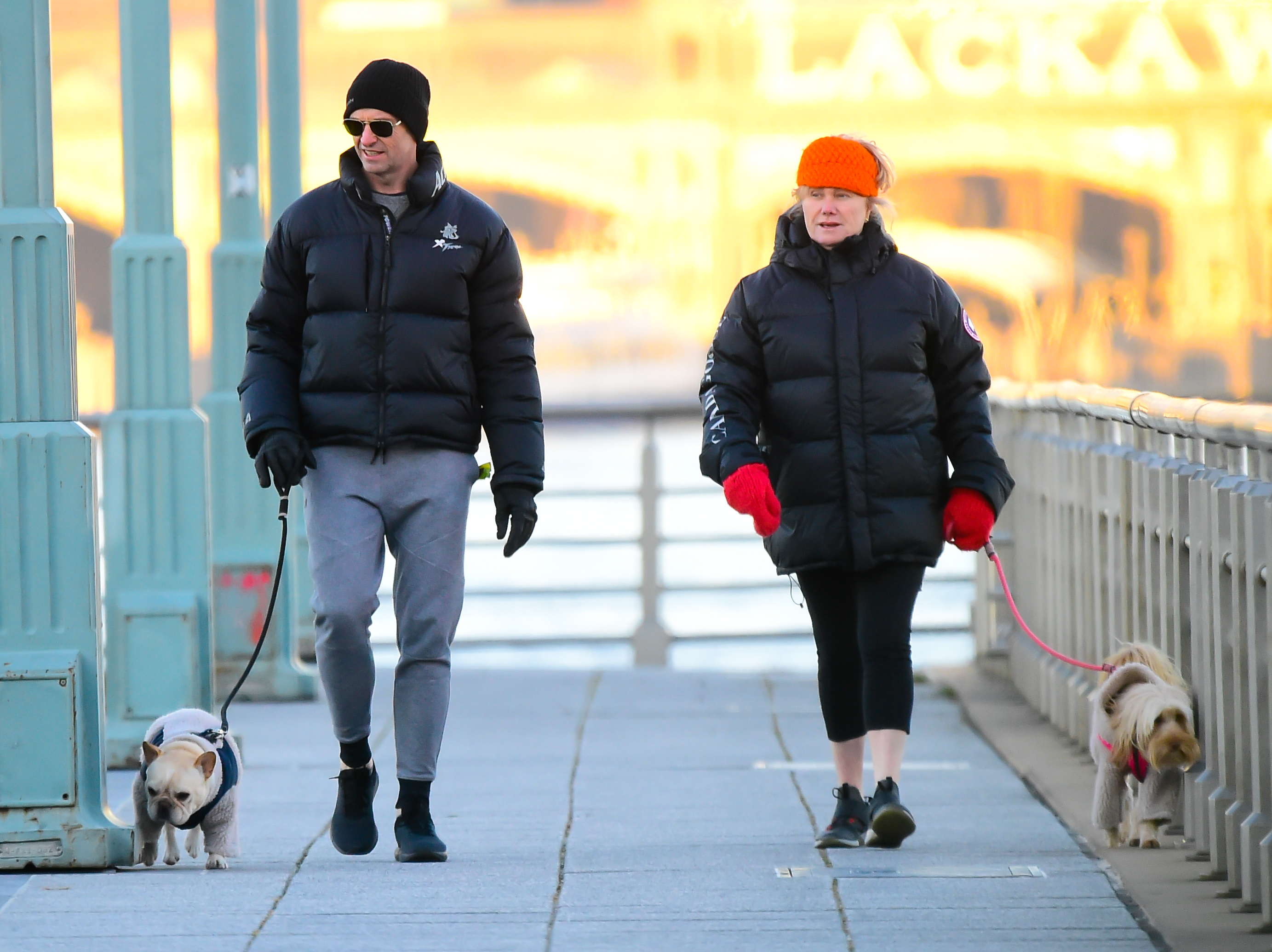 Hugh Jackman and Deborra Lee-Furness seen walking their dogs on December 19, 2018, in New York City | Source: Getty Images