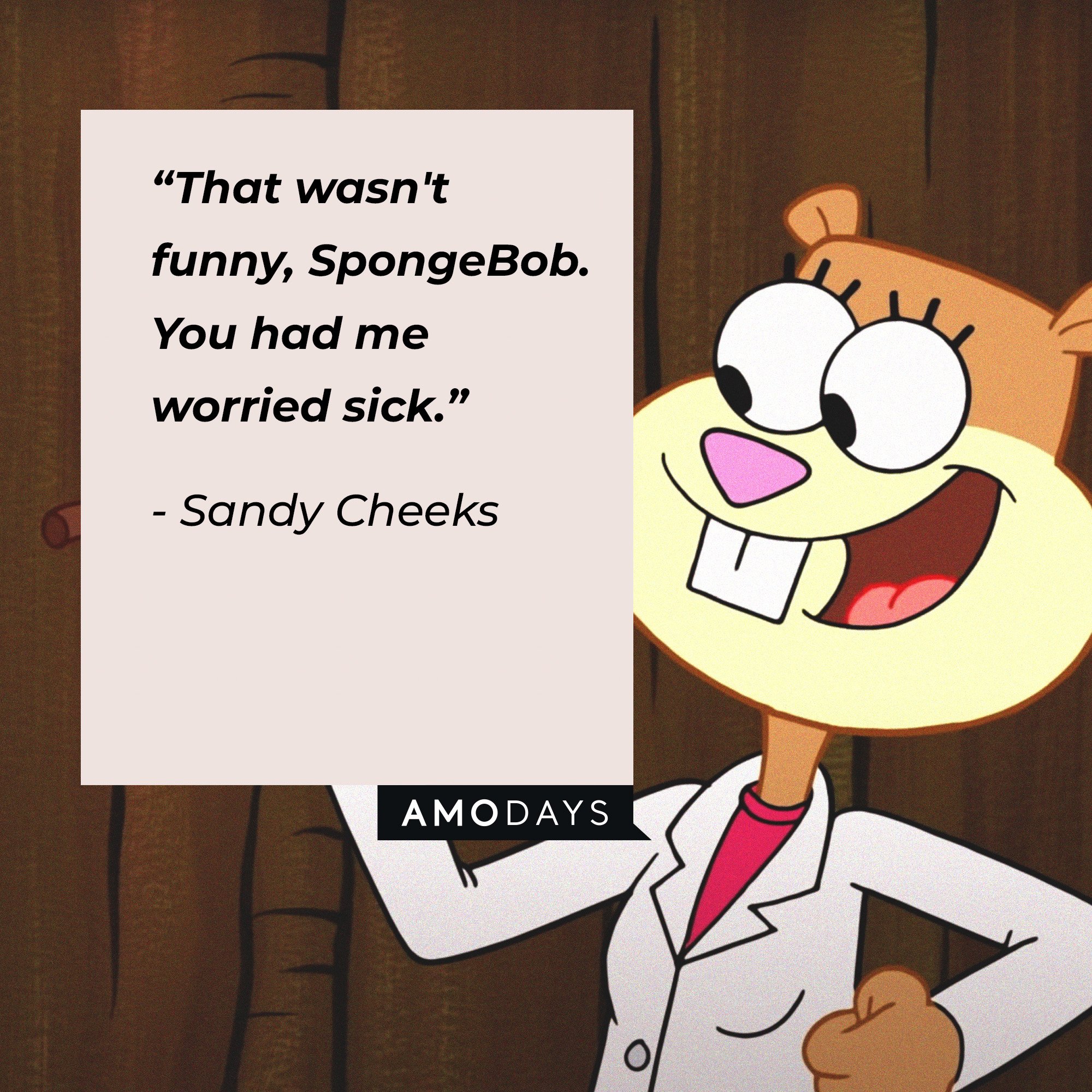 18 Sandy Cheeks Quotes