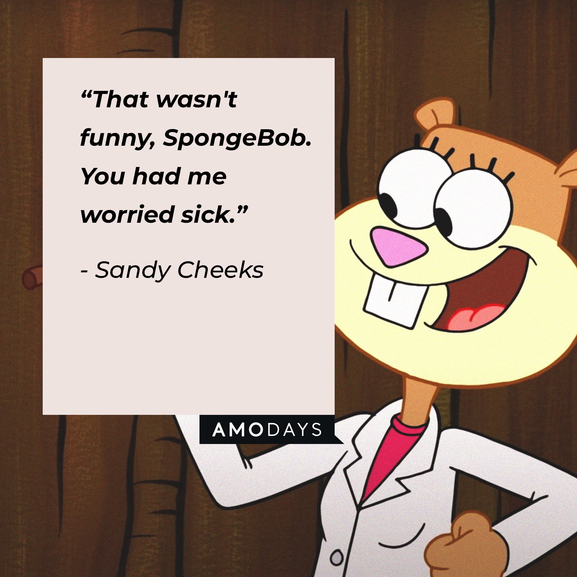 Sandy Cheeks's quote: “That wasn't funny, SpongeBob. You had me worried sick.” | Image: AmoDays 