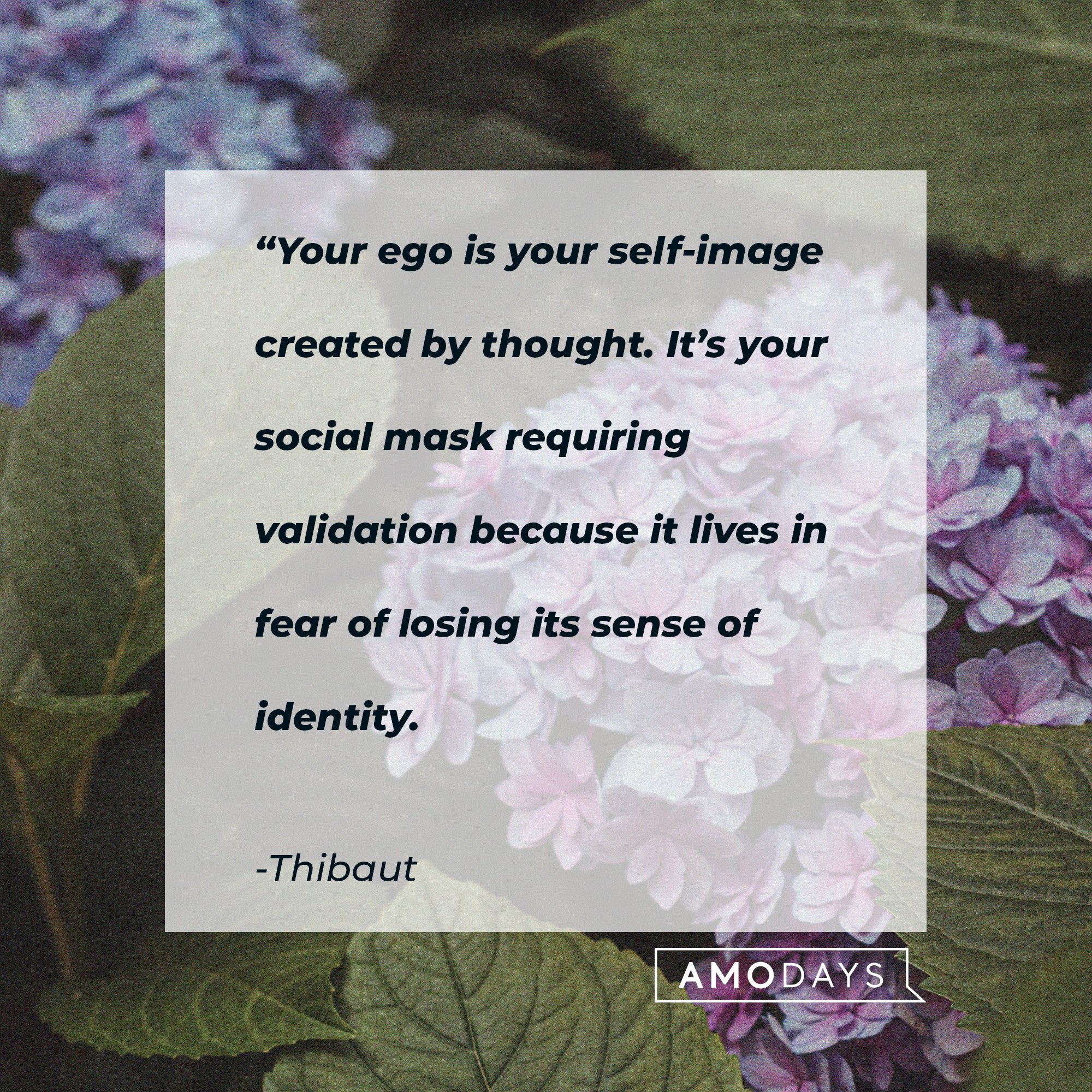Thibaut's quote: “Your ego is your self-image created by thought. It’s your social mask requiring validation because it lives in fear of losing its sense of identity." | Image: AmoDays