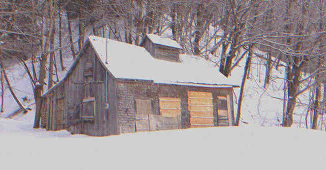 A house in the woods covered in snow | Source: Shutterstock