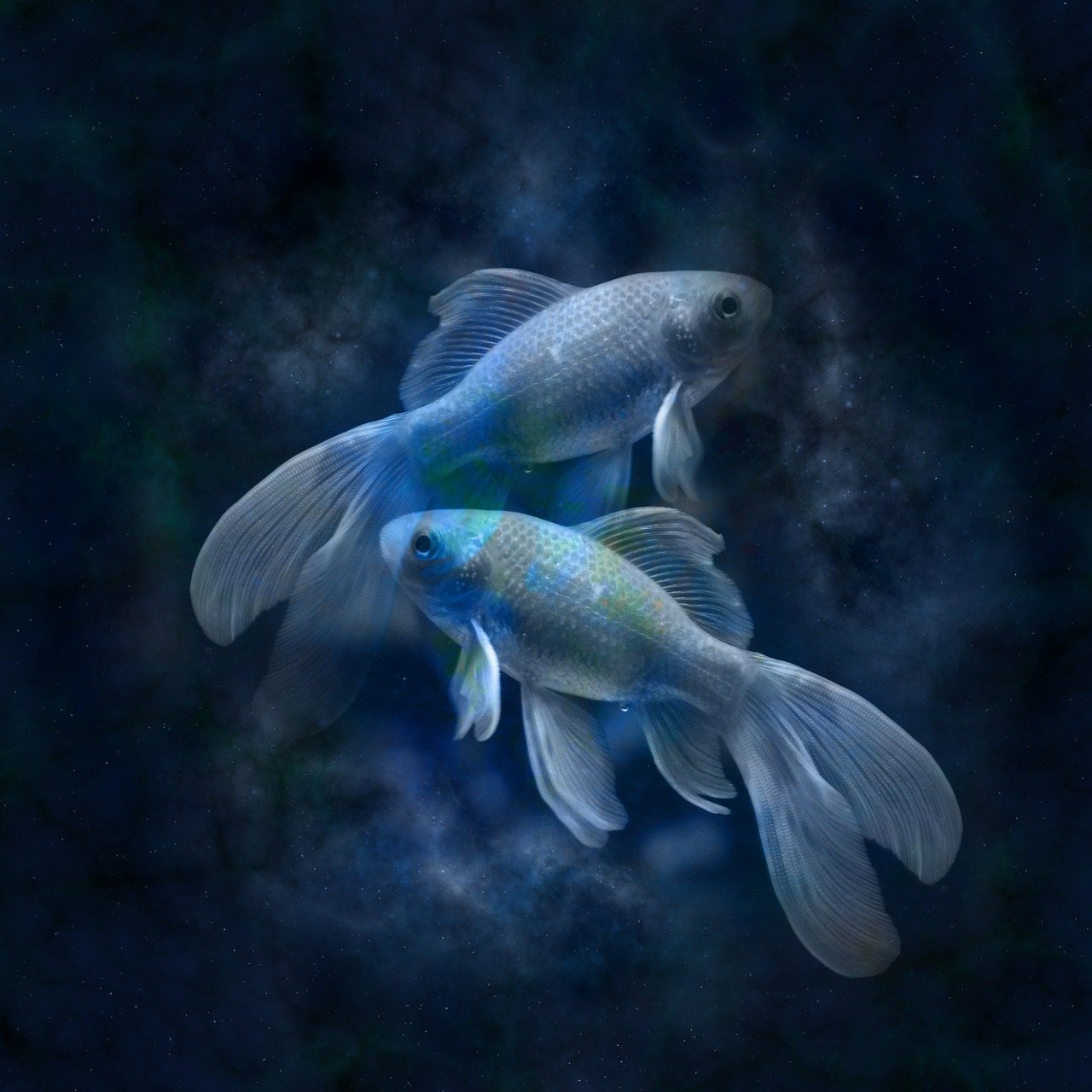 An illustration of the Zodiac sign for Pisces | Photo: Pixabay/Gerd Altmann