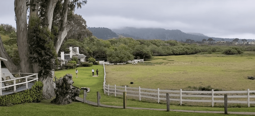 Another part of the ranch with beautiful grounds featuring some farm animals | Source: YouTube/Rosie O'Kelly