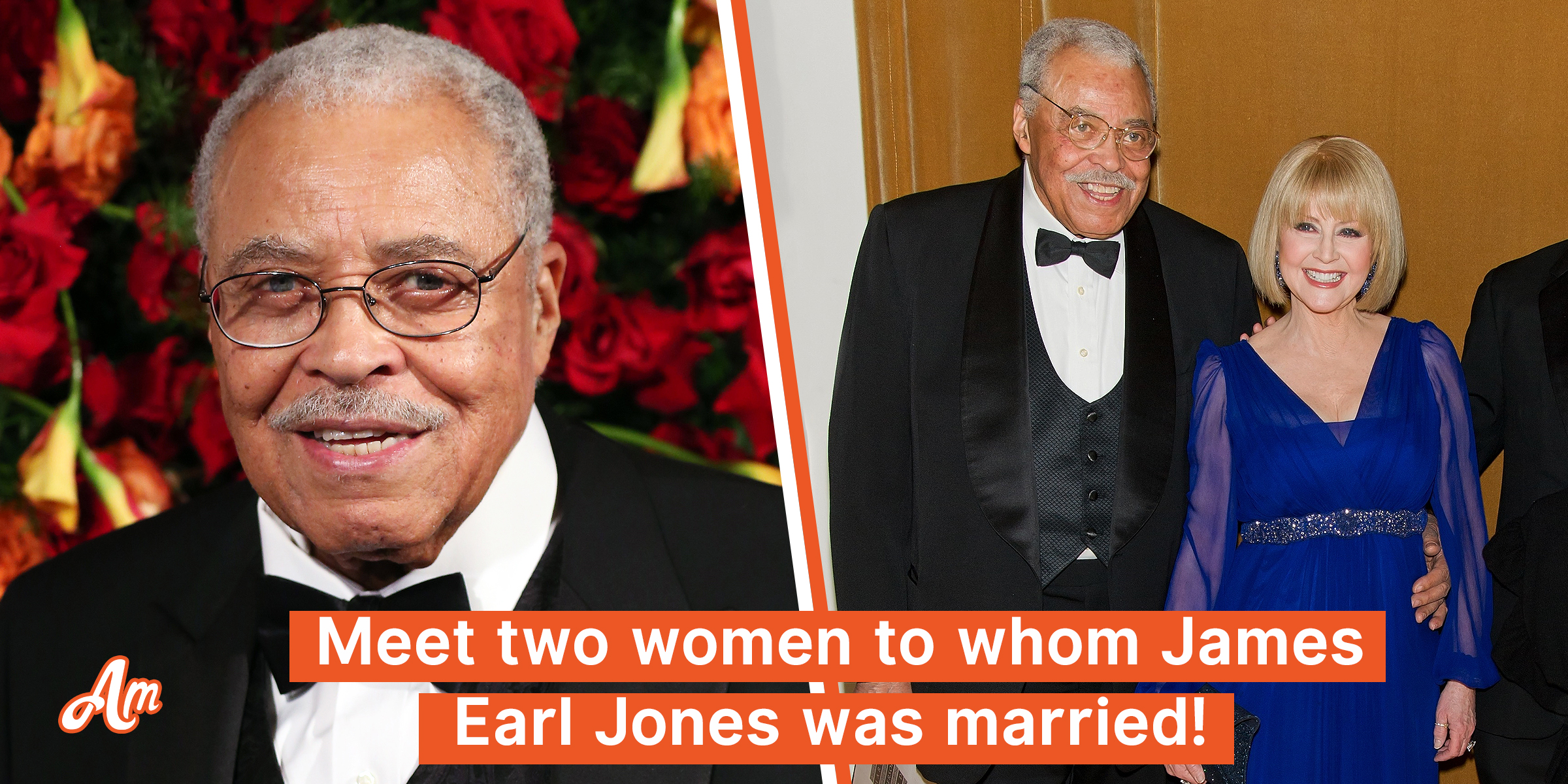 James Earl Jones Was Married Twice Throughout His Life & Both Marriages Were Biracial