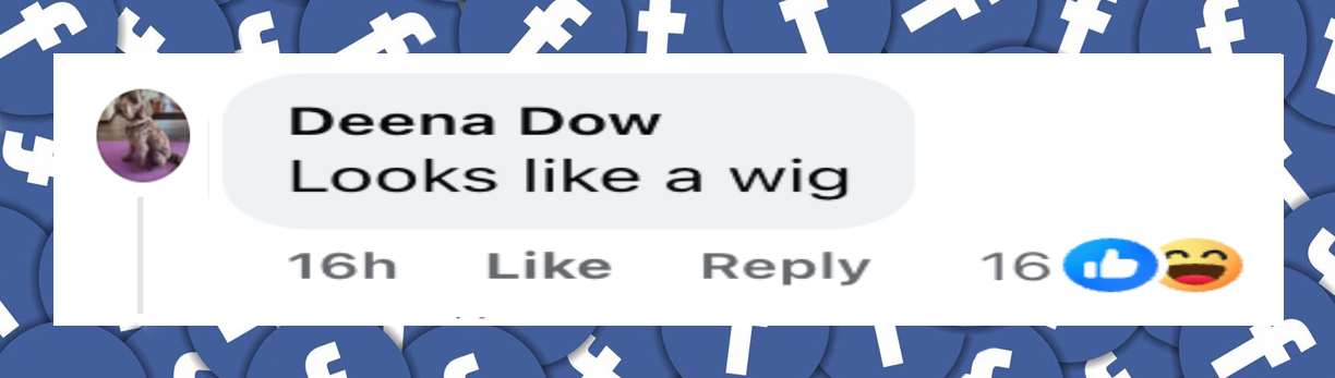A netizen's comment on Jenna Bush Hager's new hair, dated June 17, 2025 | Source: Facebook/E News