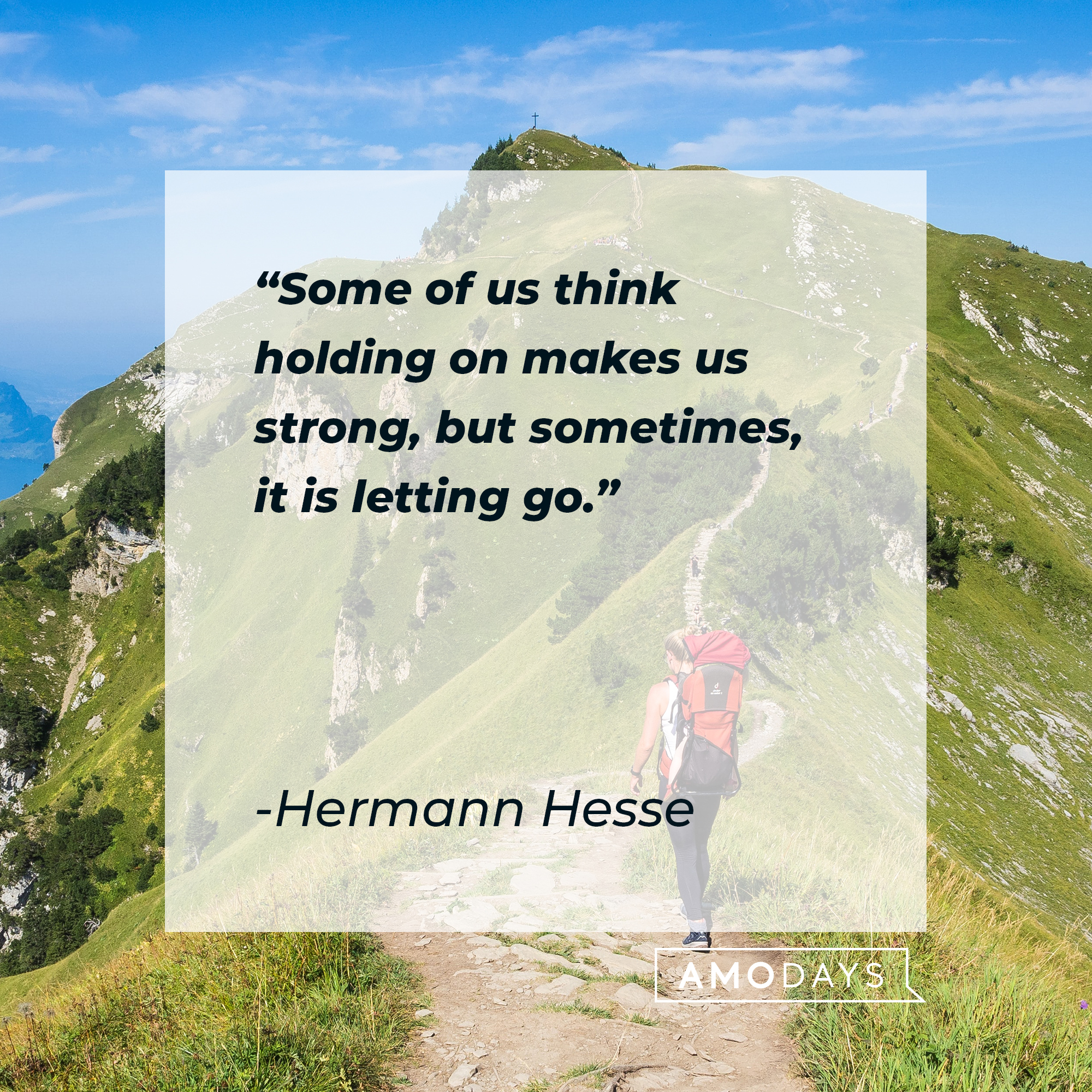 Hermann Hesse's quote: "Some of us think holding on makes us strong, but sometimes, it is letting go." | Image: Unsplash.com
