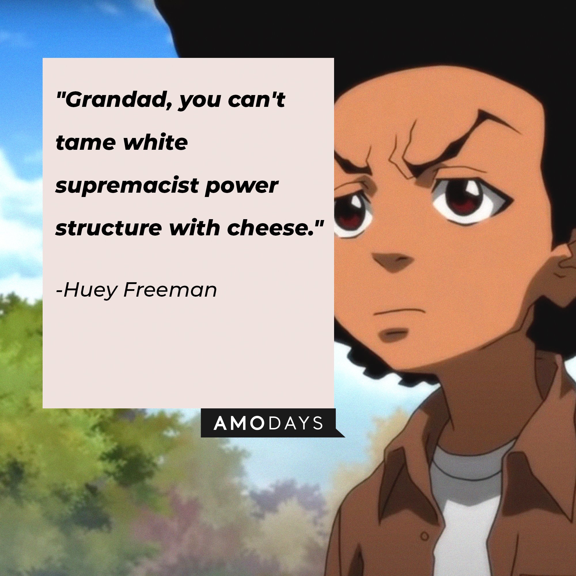 Huey Freeman’s quote: "Grandad, you can't tame white supremacist power structure with cheese." | Image: AmoDays