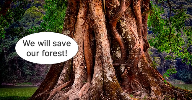 The wise old tree was determined to save the forest along with the animals. | Photo: Shutterstock