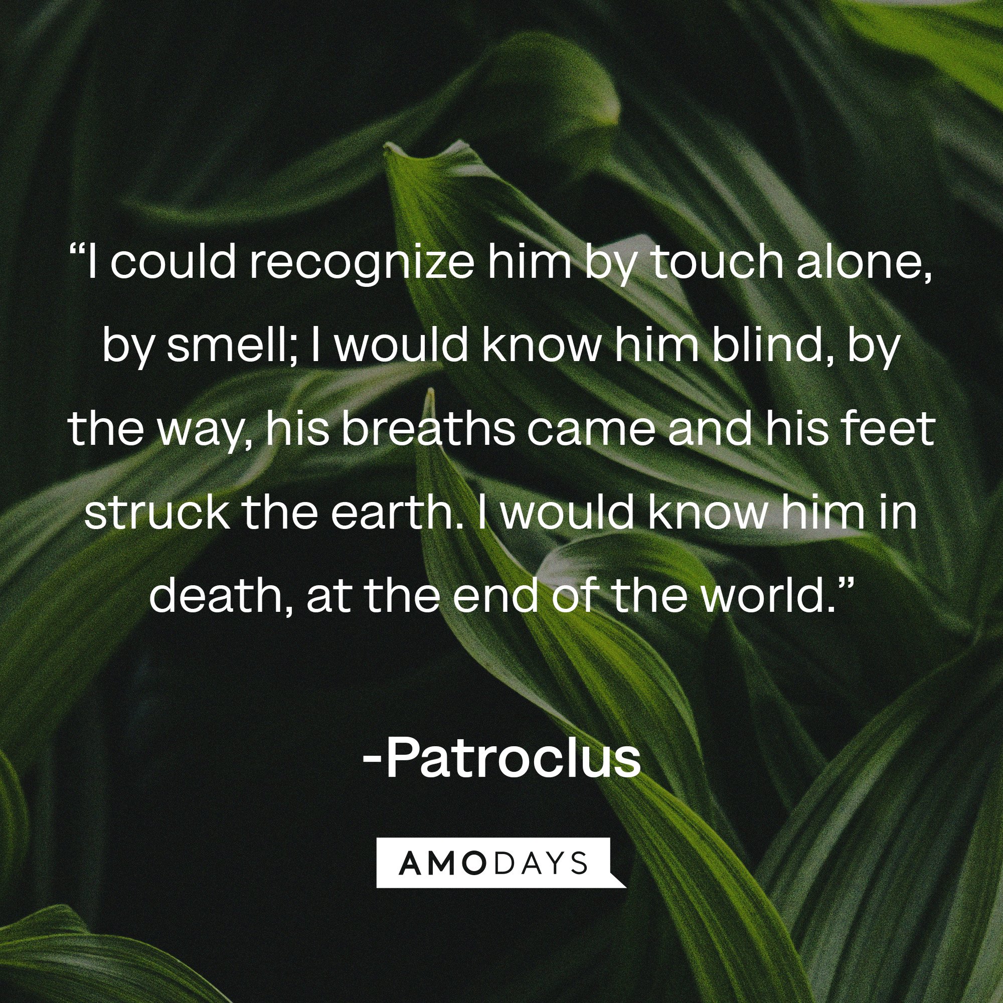  Patroclus's quote: “I could recognize him by touch alone, by smell; I would know him blind, by the way, his breaths came and his feet struck the earth. I would know him in death, at the end of the world.” | Image: AmoDays