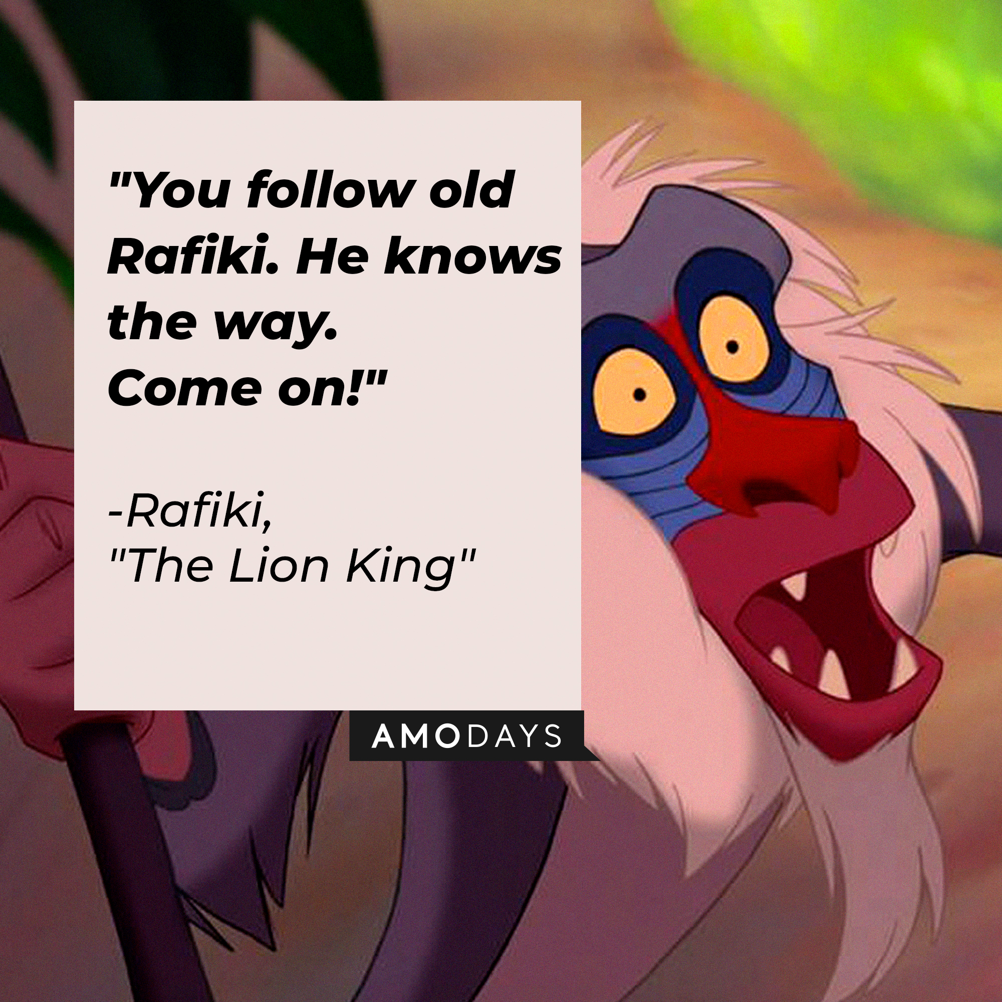 Rafiki with his quote: "You follow old Rafiki. He knows the way. Come on!" | Source: Facebook.com/DisneyTheLionKing