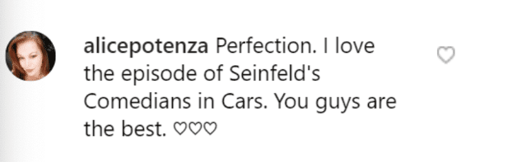Fan's comment on Carl Reiner's post. | Source: Instagram/carlreiner