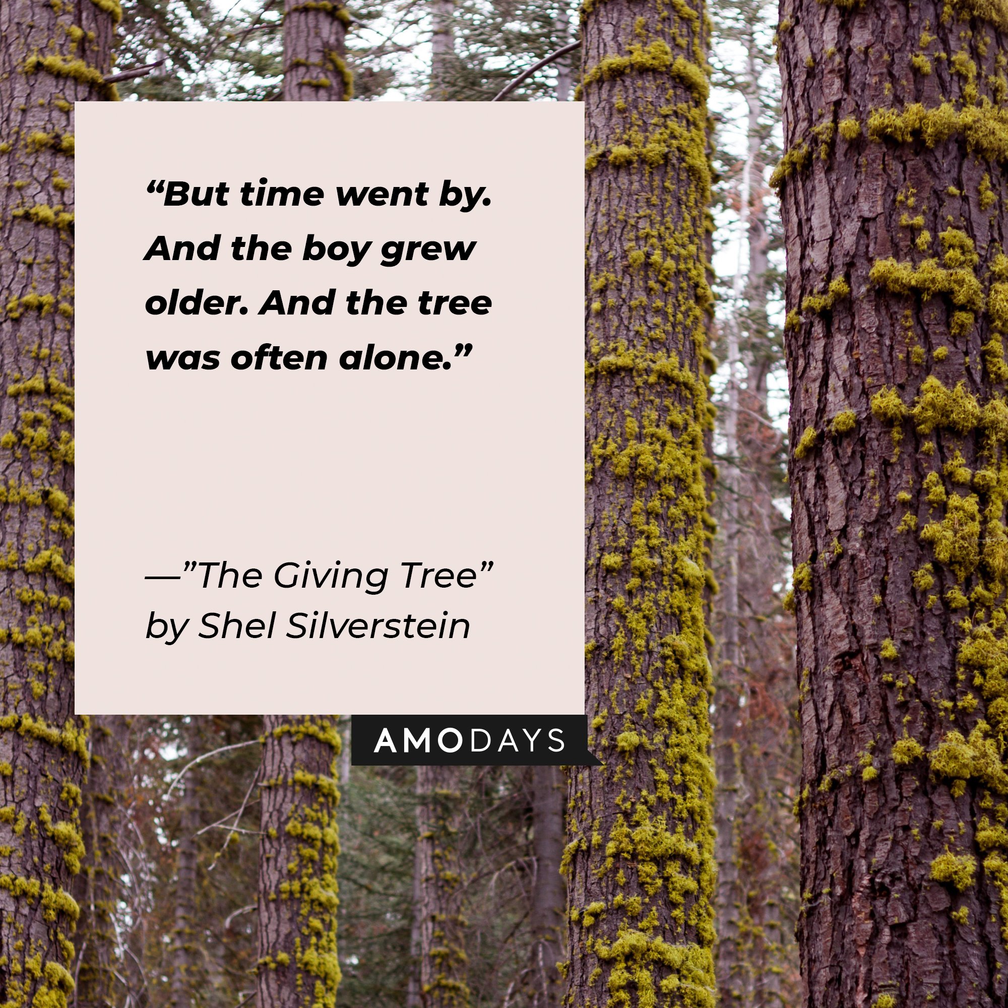 Quotes from Shel Silverstein’s "Giving Tree”: "But time went by. And the boy grew older. And the tree was often alone." | Image: AmoDays
