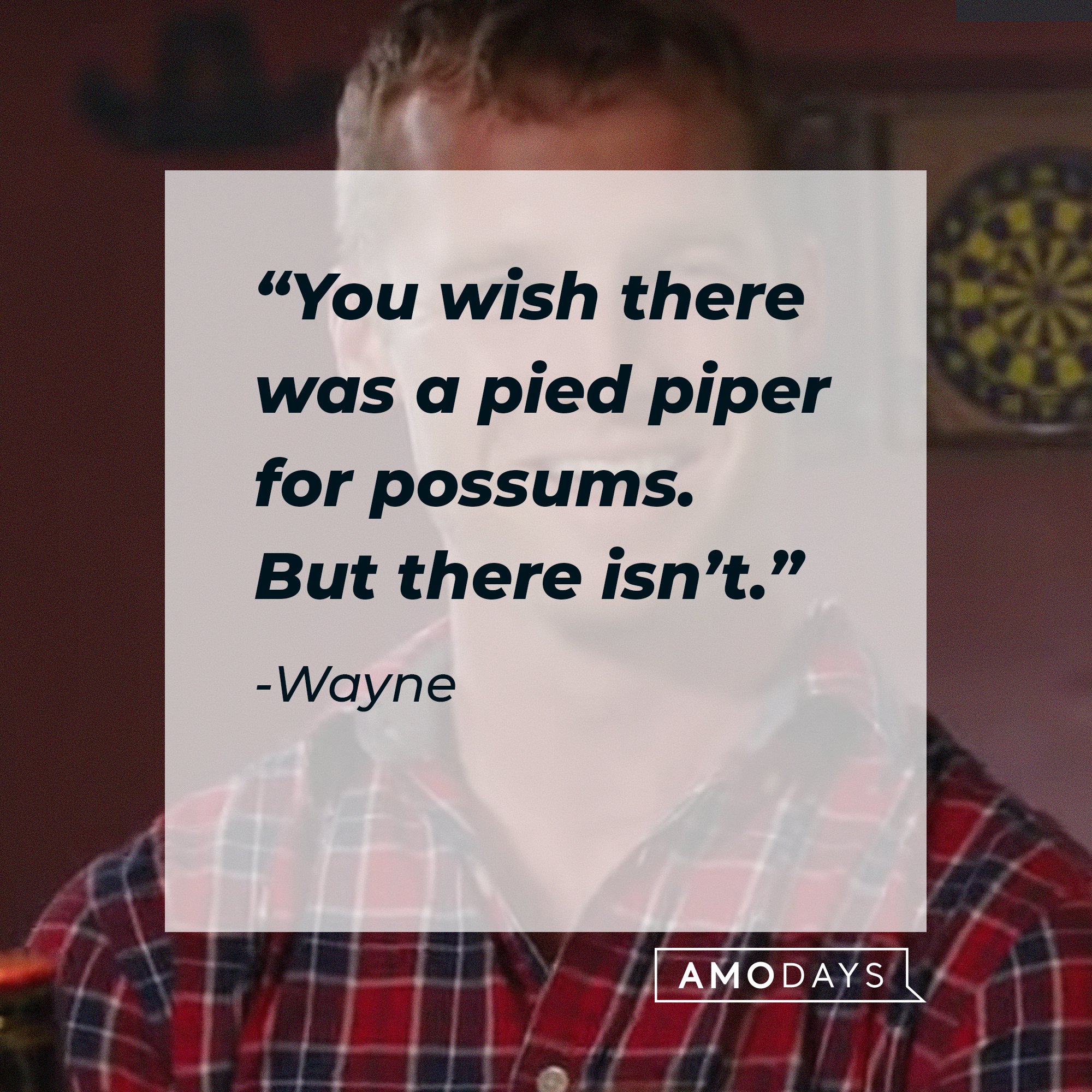 Wayne’s quote: “You wish there was a pied piper for possums. But there isn’t.” | Image: AmoDays
