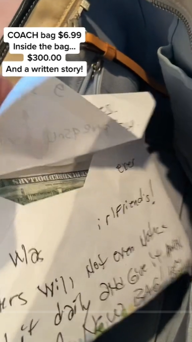 Lynora Silverman zeigt das Geld, das sie in Marthas Tasche gefunden hat | Quelle: tiktok.com/@marthainfused