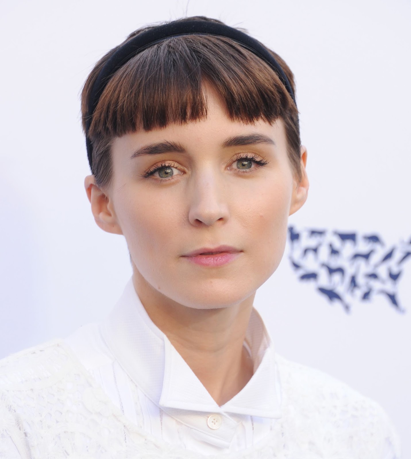 Rooney Mara attended the Humane Society’s Annual To The Rescue! Los Angeles Benefit in 2017, reflecting her dedication to animal rights and ethical causes that align with her personal values. | Source: Getty Images