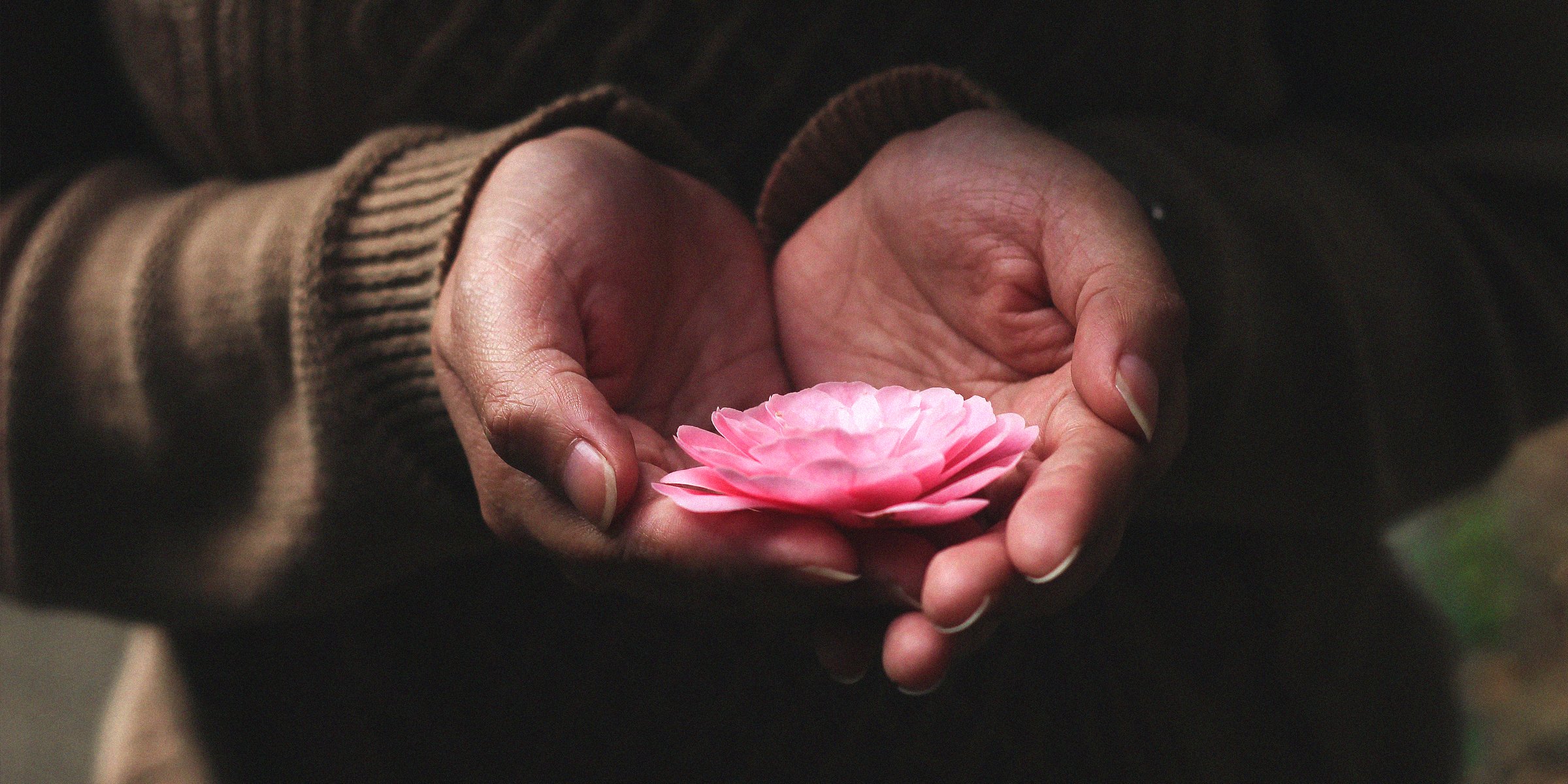 Unsplash | An individual cupping a flower in their hands