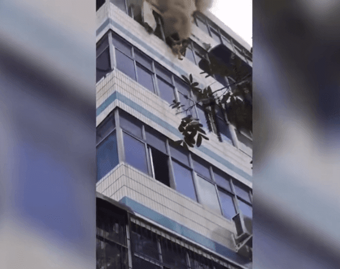 Source: Youtube/Amazing Clip Source: Youtube/Amazing Clip