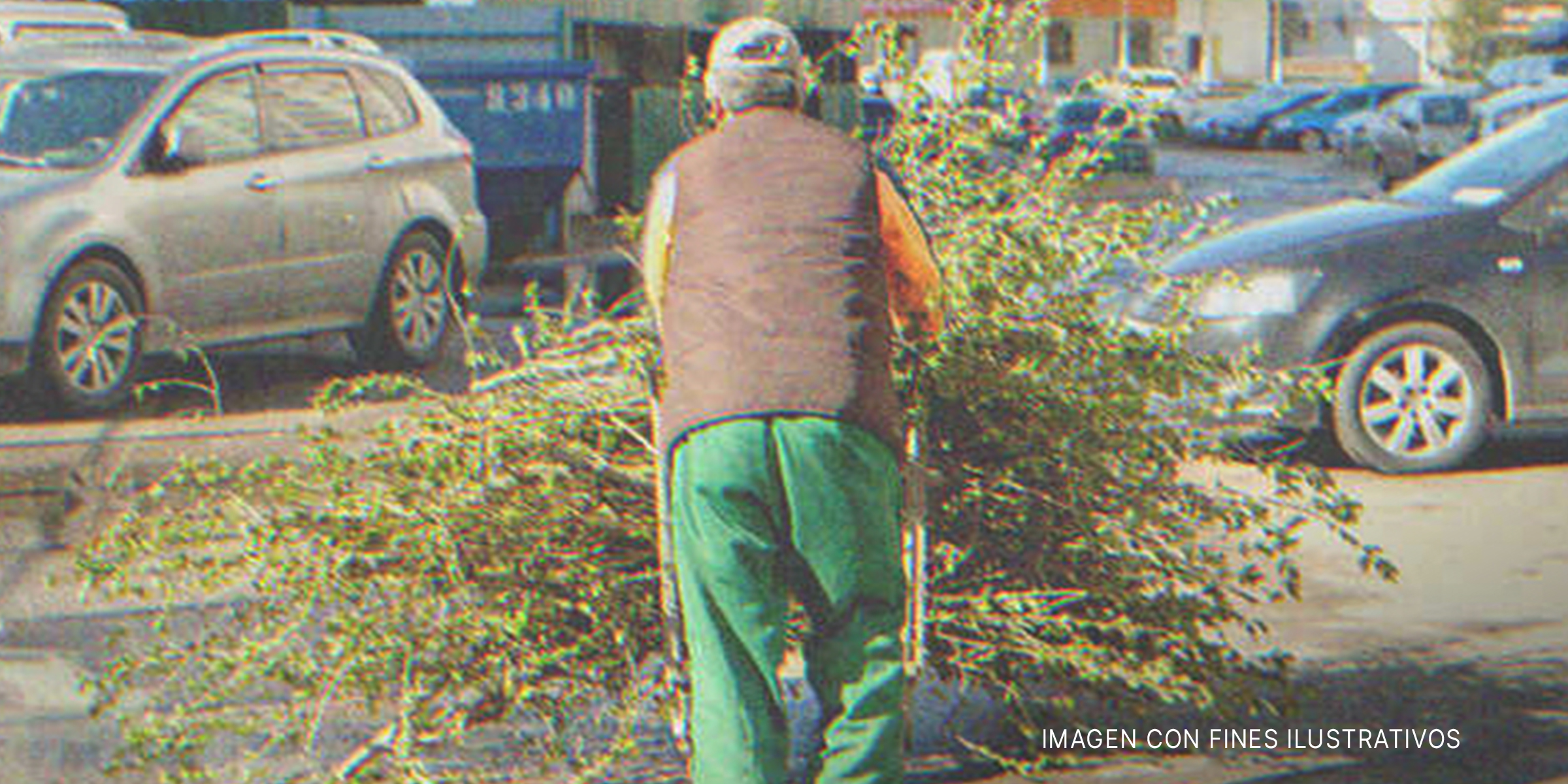 Hombre llevando ramas por la calle. | Foto: Shutterstock