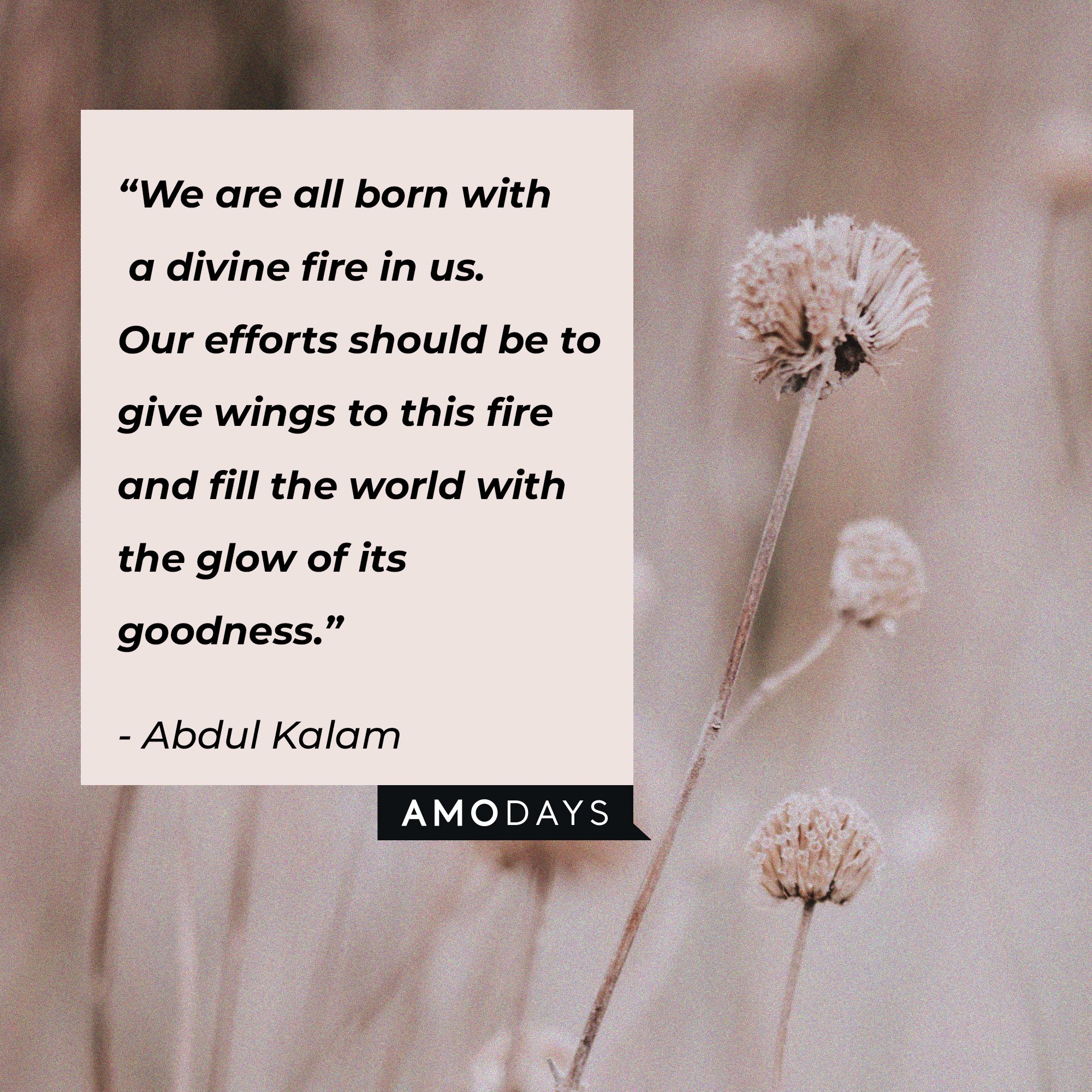 Abdul Kalam's quote: “We are all born with a divine fire in us. Our efforts should be to give wings to this fire and fill the world with the glow of its goodness.” | Image: AmoDays