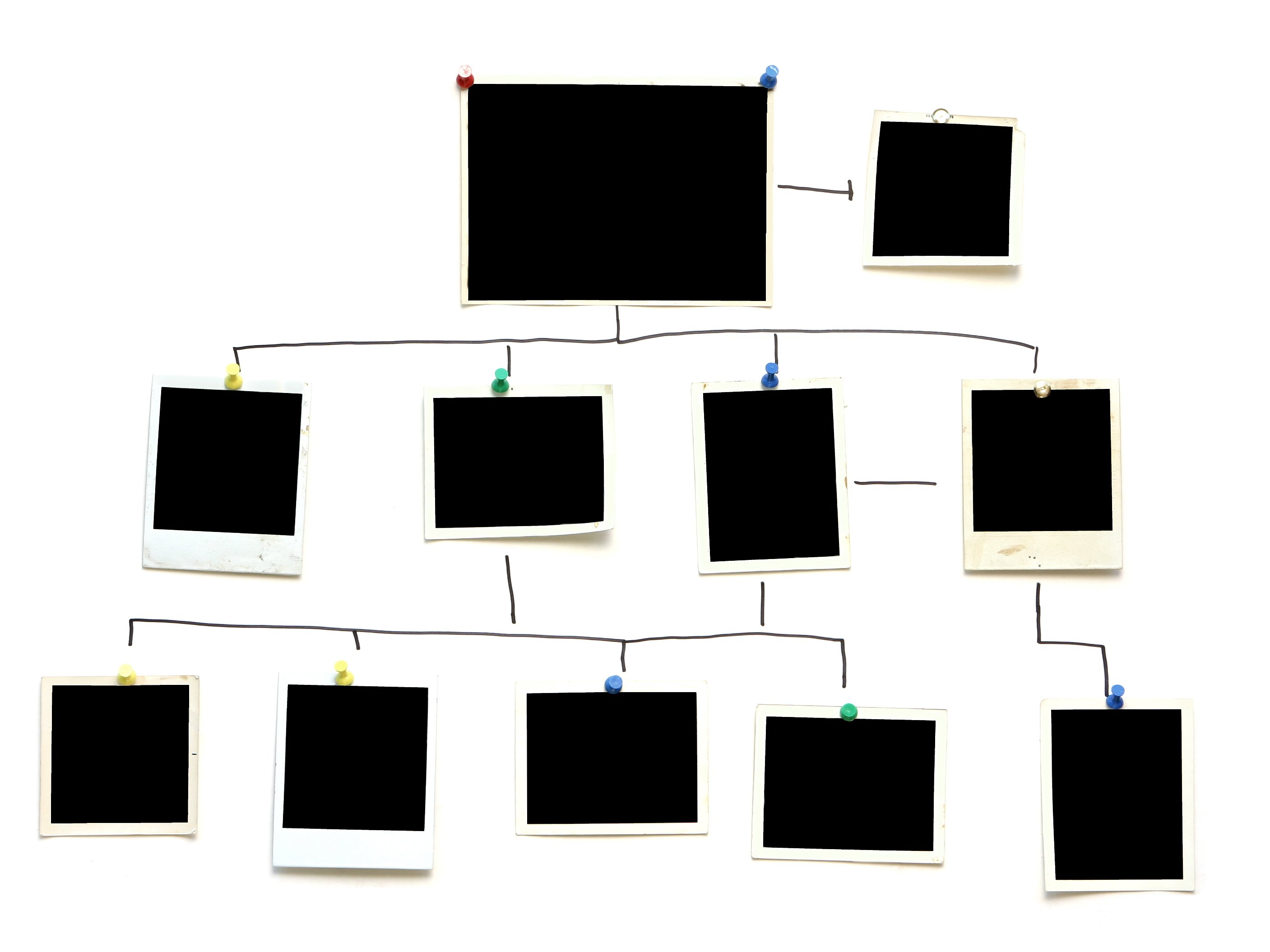 Blank polaroid photos pinned on a board depict an organised chart | Source: Getty Images.