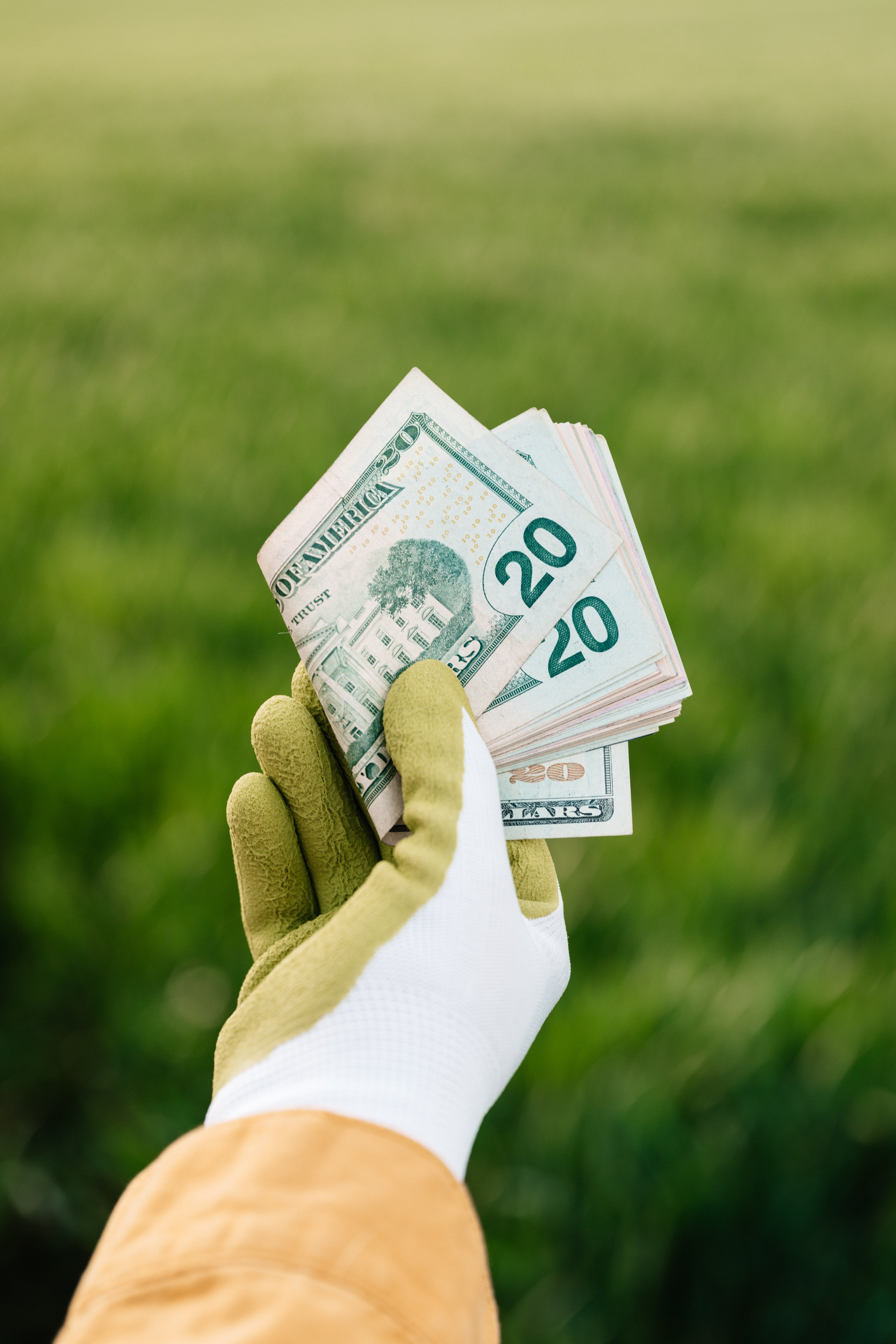 Una persona sosteniendo en su mano un paquete de billetes de 20$. | Foto: Unsplash