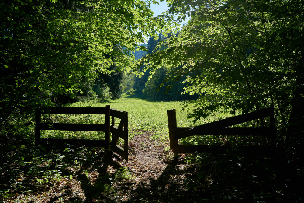 Gate and meadow on a hiking trail near Forest | Source: Shutterstock.com