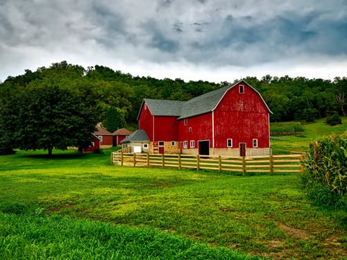 Farm in the countryside | Source: Pexels