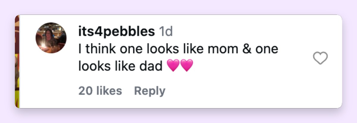Fans quickly turned the rare family outing into a sweet resemblance debate, with one viewer writing, "I think one looks like mom & one looks like dad 💗💗." The comment captured the main reaction around Charlie and Dolly's latest appearance with Jerry O'Connell. | Source: Instagram/mrjerryoc