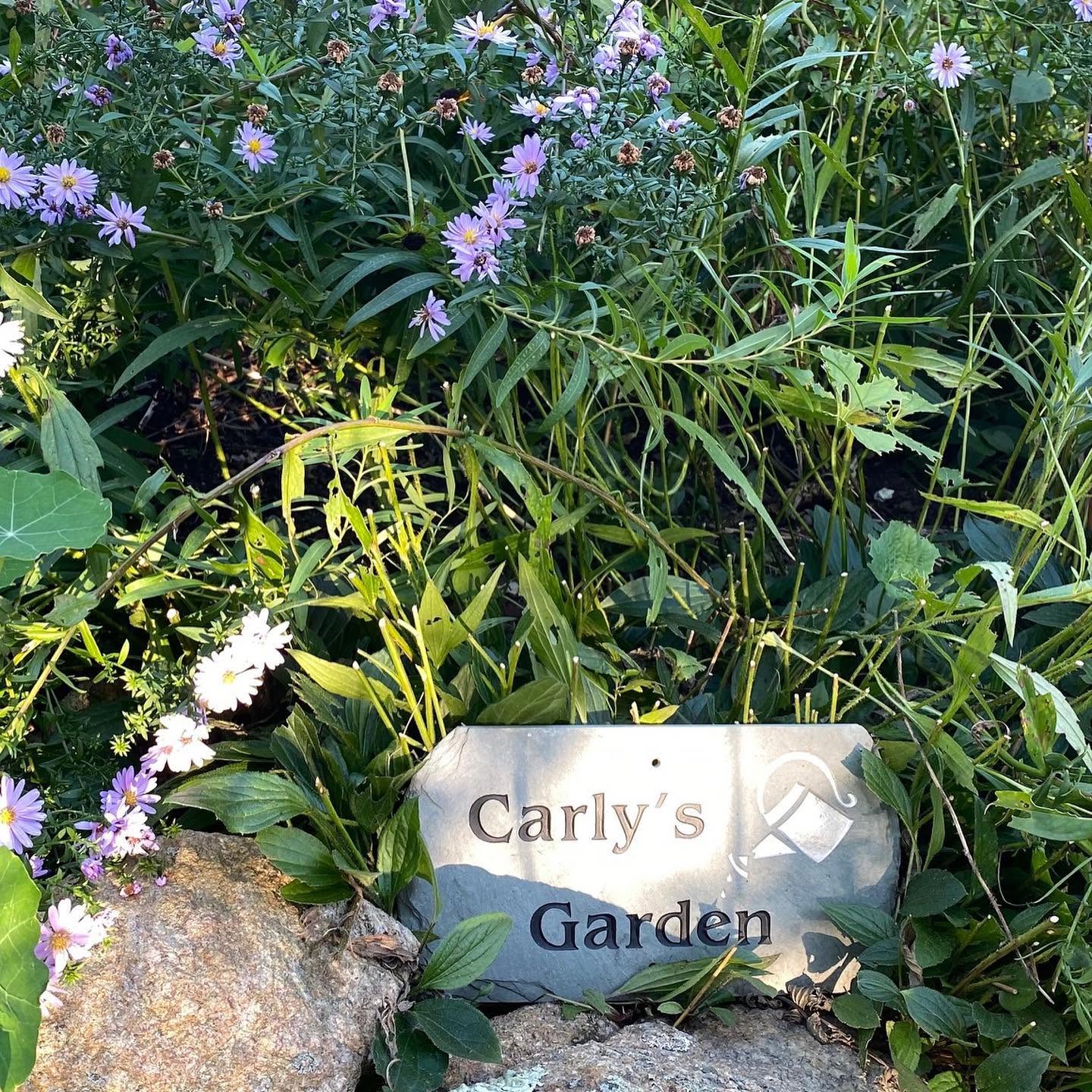 She thought about the selling the huge property but couldn't bare to leave her trees. This is a picture of her garden posted on October 4, 2021. | Source: Facebook/Carly Simon
