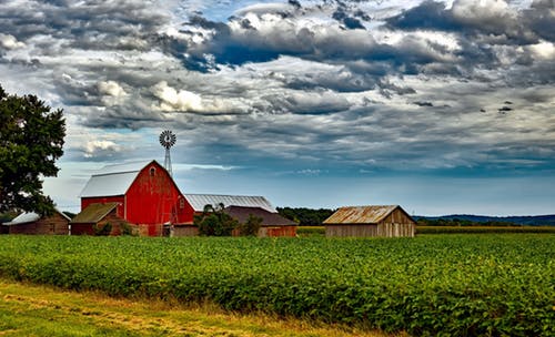 Farm in the middle of nowhere | Photo: Pexels