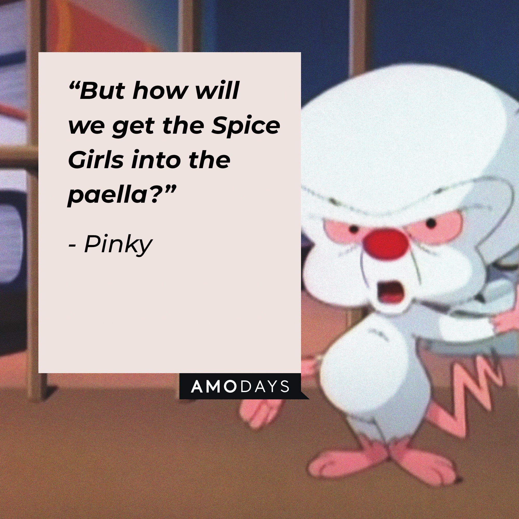  Pinky's quote: “But how will we get the Spice Girls into the paella?” | Image: AmoDays