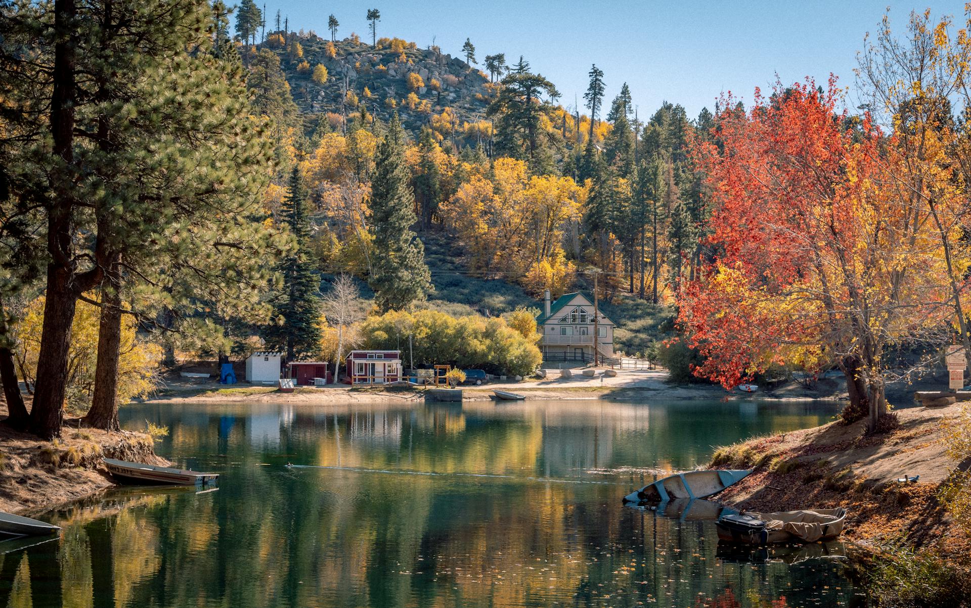 A cabin on a lakeshore | Source: Pexels