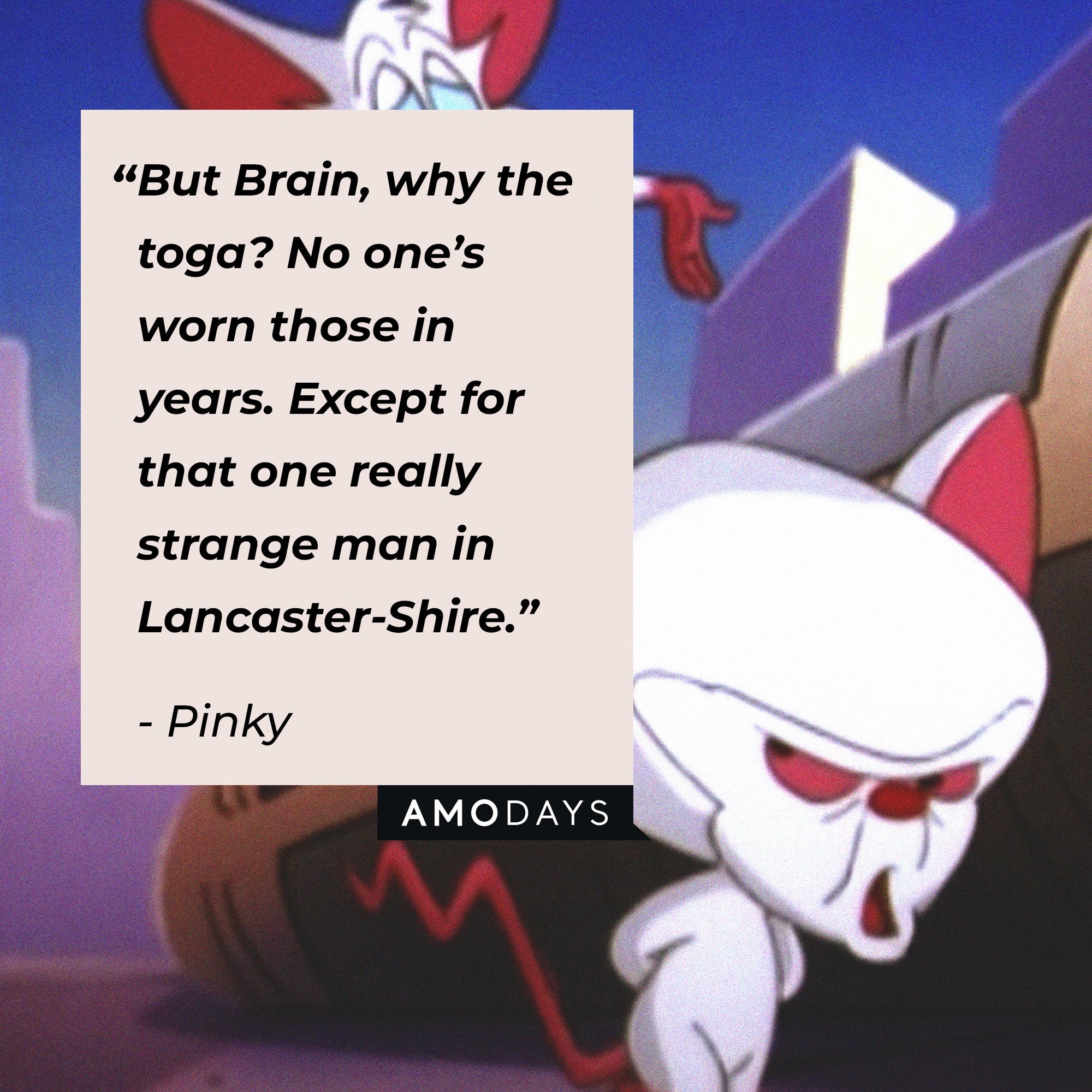 Pinky's quote: “But Brain, why the toga? No one’s worn those in years. Except for that one really strange man in Lancaster-Shire.” | Image: AmoDays 
