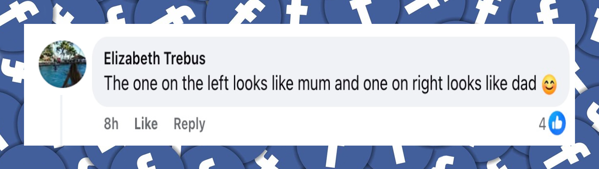 A netizen's comment about Jimmy Fallon's daughters on a post dated February 25, 2026 | Source: Facebook/Jimmy Fallon