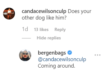 A fan asking a question and Bergen replying | Instagram: @bergenbags
