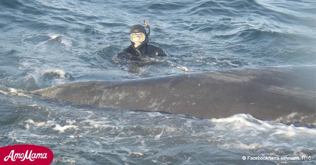 Video footage shows whale's surprising behavior after being rescued