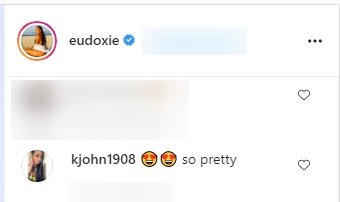 Fan's comments under a post made by Ludacris' wife, Eudoxie, on her Instagram page | Photo: Instagram/eudoxie