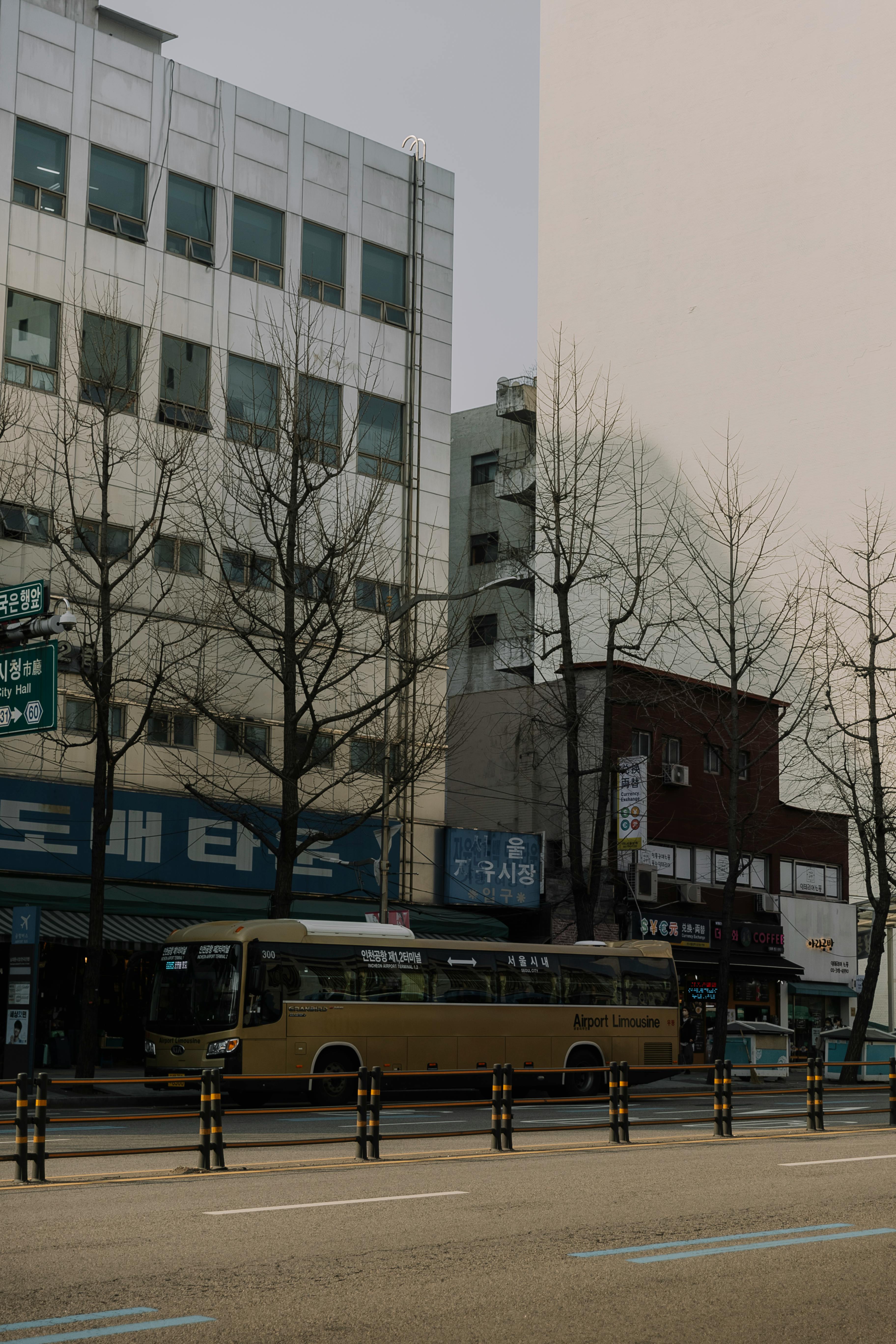 A stopped bus | Source: Pexels