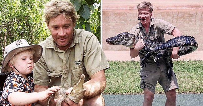 steve irwin as a child