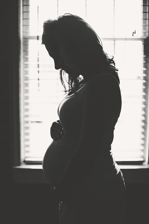 Mujer embarazada / Imagen tomada de: Pixabay Mujer embarazada / Imagen tomada de: Pixabay