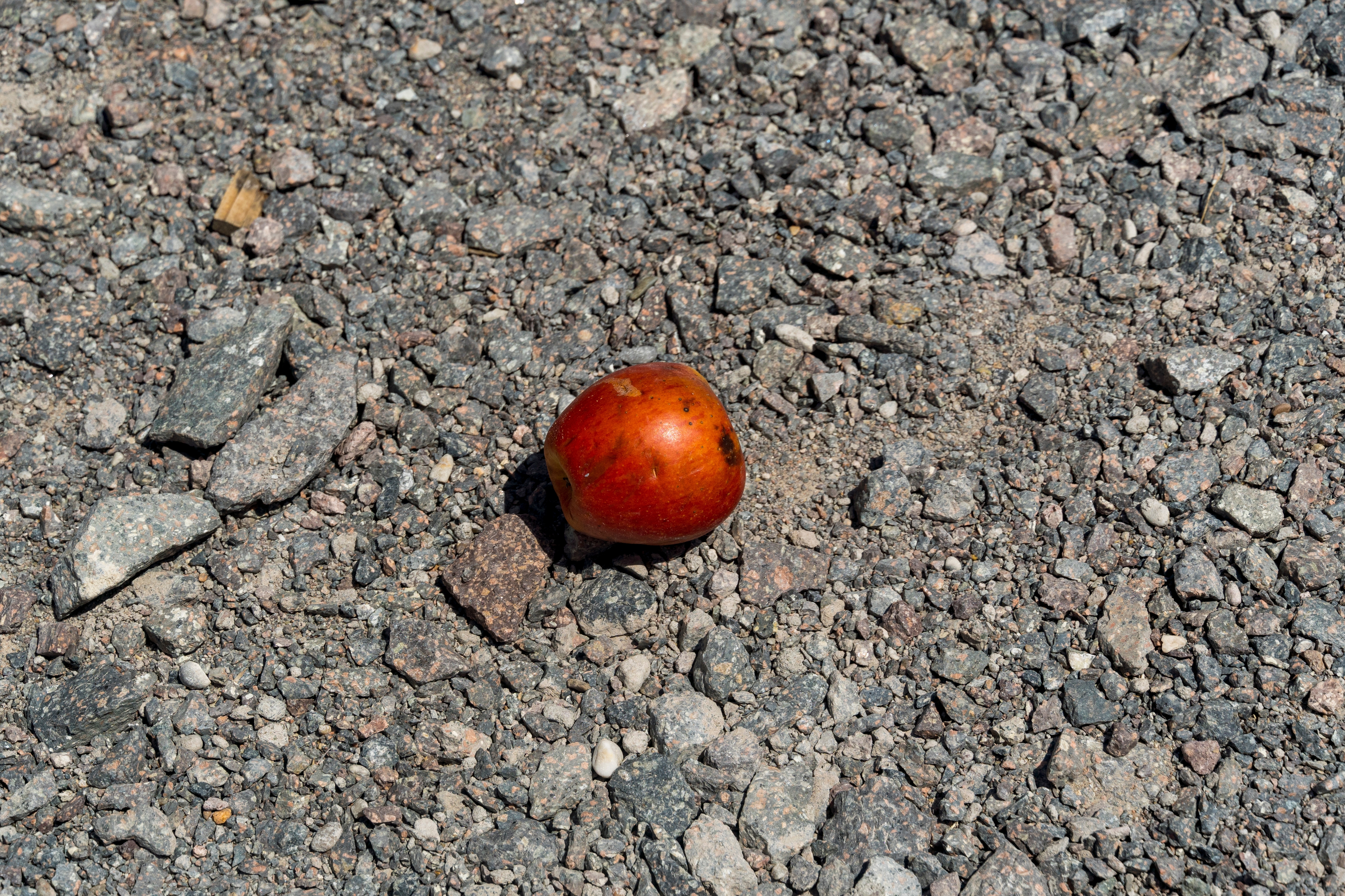 Red apple on a road | Source: Shutterstock