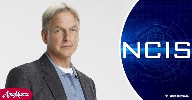 Page Six: Mark Harmon's rep finally responds to rumors he's exiting 'NCIS'