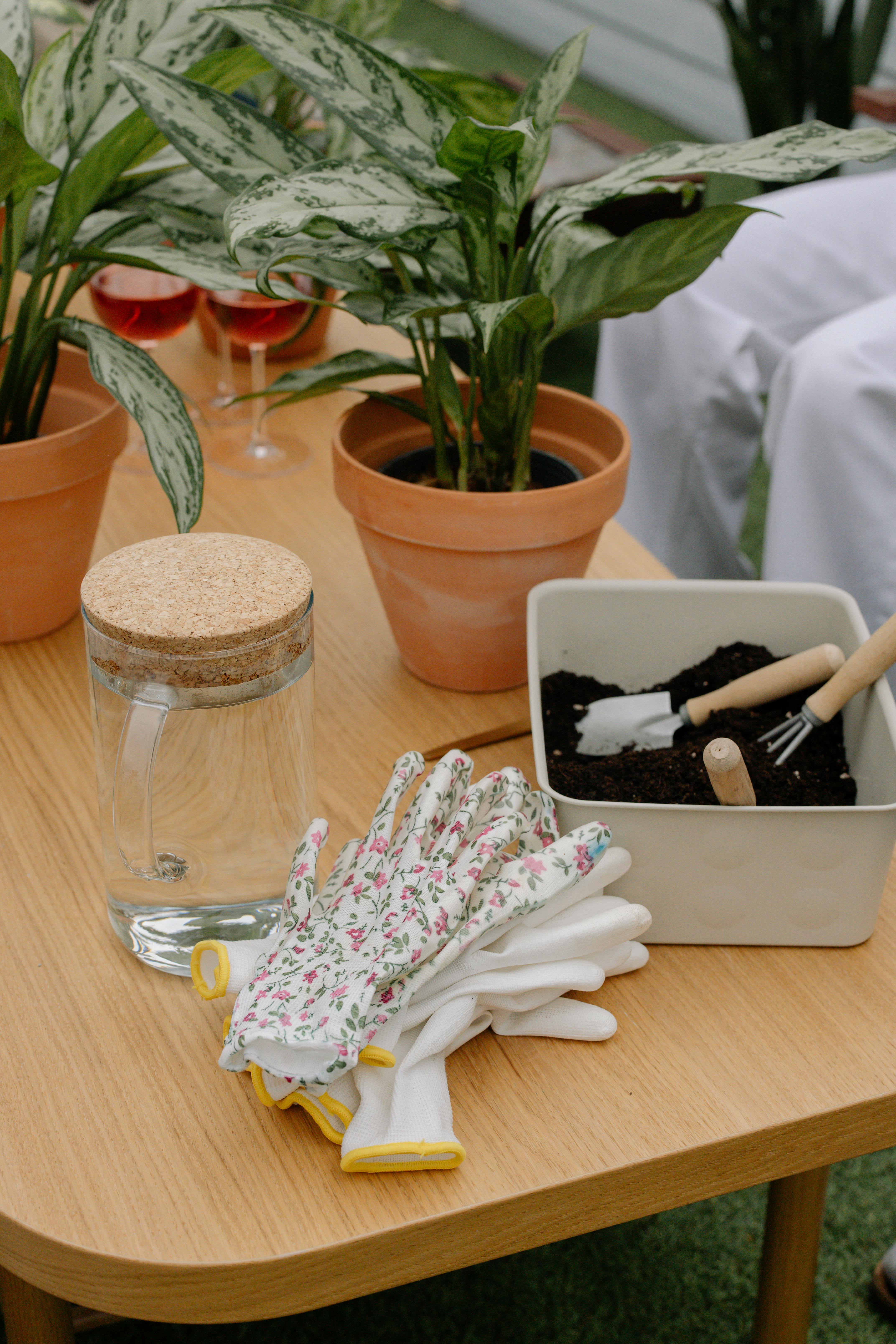 Potted plants beside gardening tools and gloves on wooden table | Source: Pexels