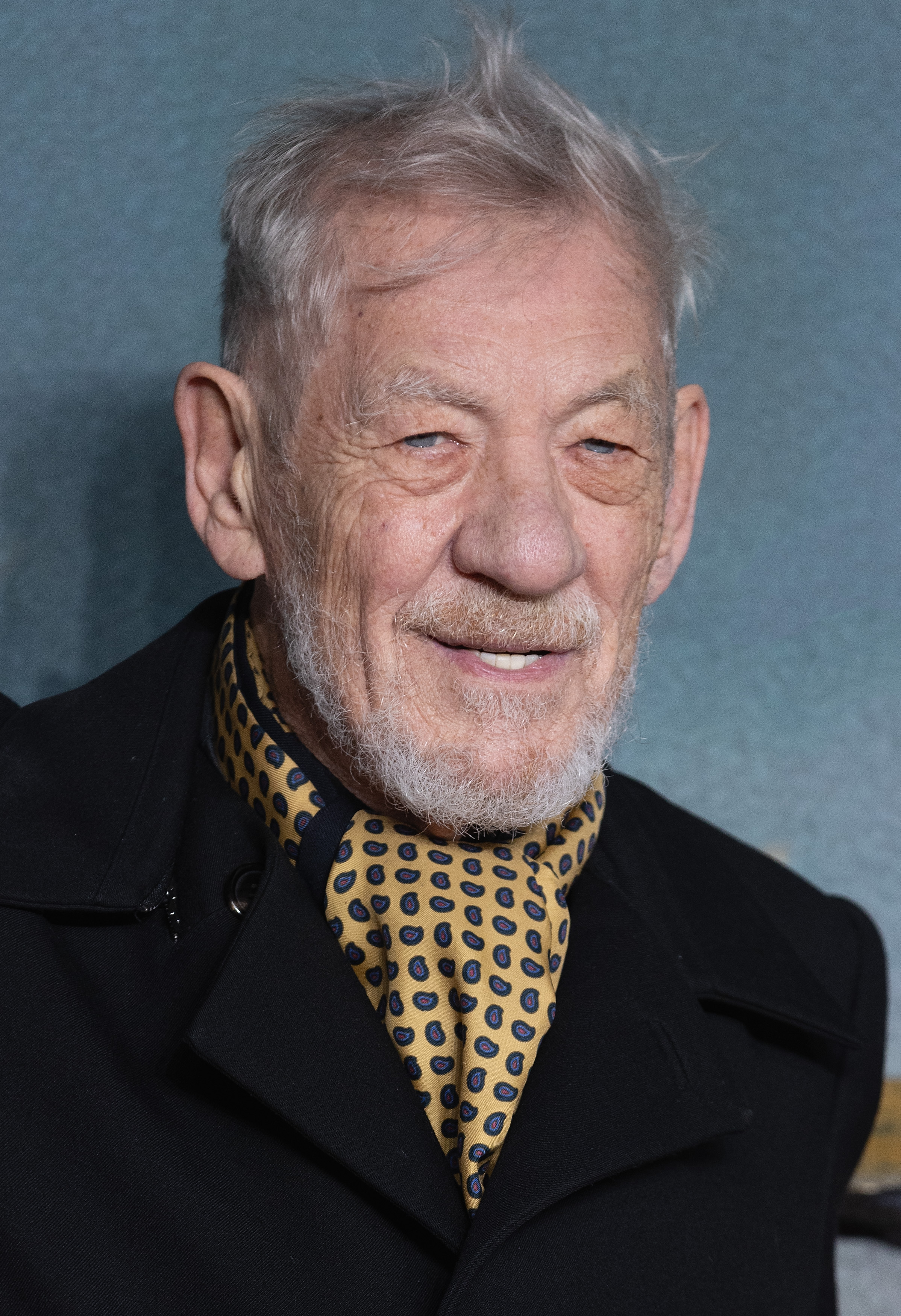 On December 3, 2024, Ian McKellen attended the world premiere of "The Lord of the Rings: The War of the Rohirrim" in London, England, dressed in a tailored black coat and patterned gold scarf. With a warm smile and a glint of mischief, McKellen's presence reminded many that the spirit of Gandalf never truly left him — or the fans.