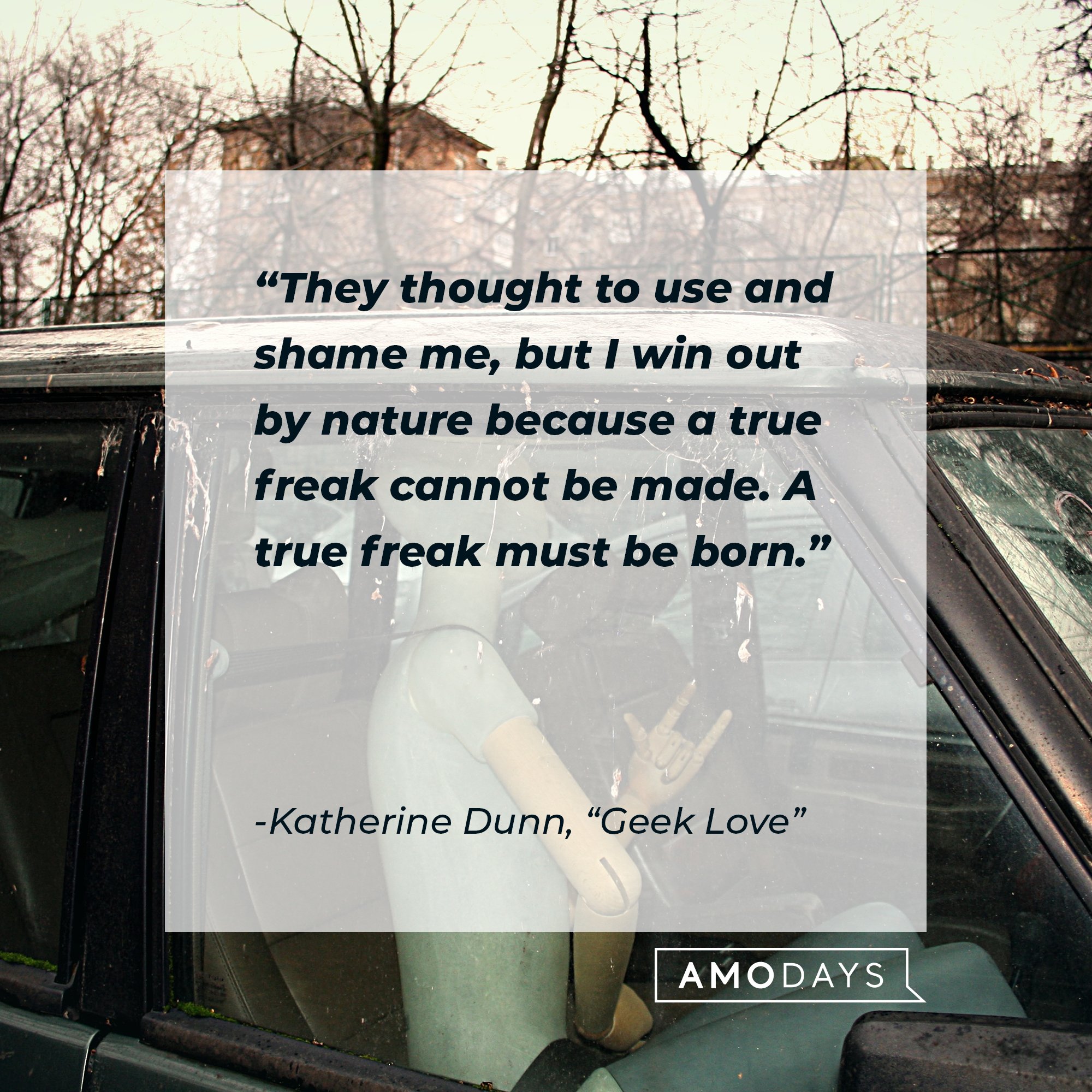 Katherine Dunn’s quote from "Geek Love": "They thought to use and shame me, but I win out by nature because a true freak cannot be made. A true freak must be born.” | Image: AmoDays