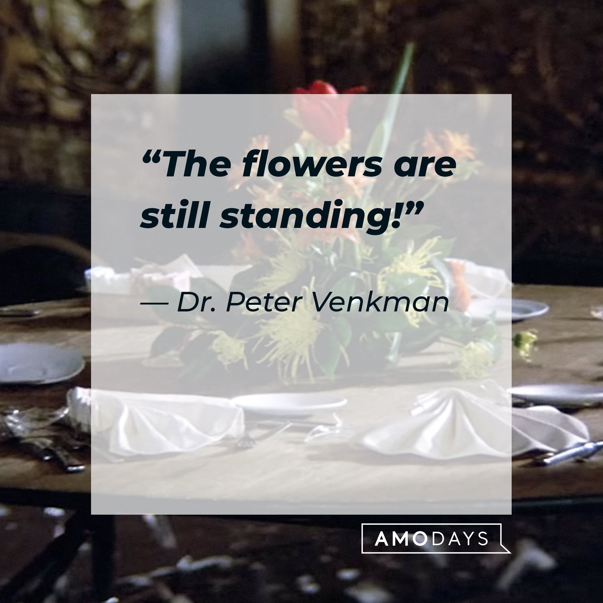 Dr. Peter Venkman's quote: “The flowers are still standing!” | Image: AmoDays